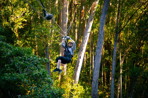 Iso saari: Kohala Zipline ja vesiputousseikkailu: Koko päivän Kohala Zipline ja vesiputousseikkailu