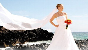 Blue Ocean Weddings