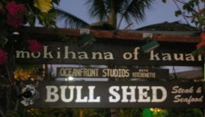 Bull Shed