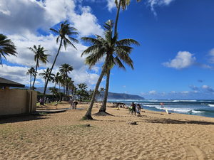Haleʻiwa Aliʻi Beach Park