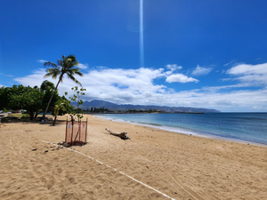 Haleʻiwa Beach Park