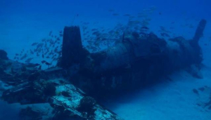 Hawaii Eco Divers