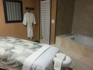 Hawaii Wellness Spa