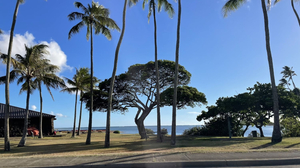 Hui Nalu O Hawaii Canoe Club