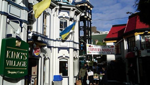 King's Village