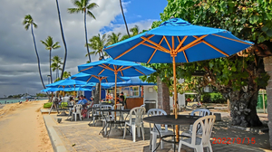 Koa Oasis Booze Shack