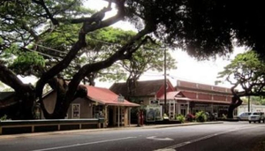 Koloa Shave Ice
