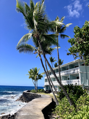 Kona Tiki Hotel