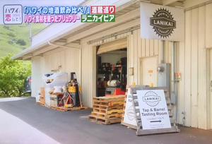 Lanikai Brewing Company