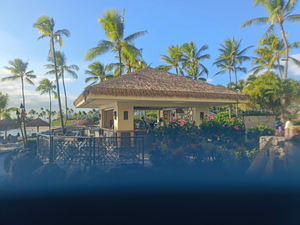 Nai'a Bar