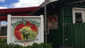 Paco's Tacos Authentic Mexican Food