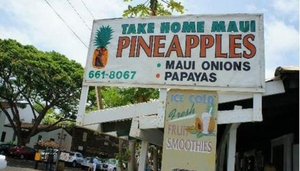 Take Home Maui