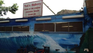 Ted's Bakery