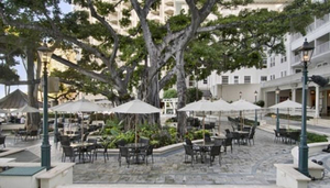 The Banyan Court