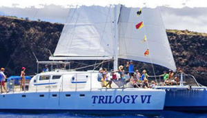 Trilogy Excursions