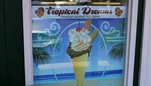 Tropical Dreams Hawaian Gourmet Ice Cream