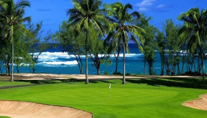Turtle Bay Golf