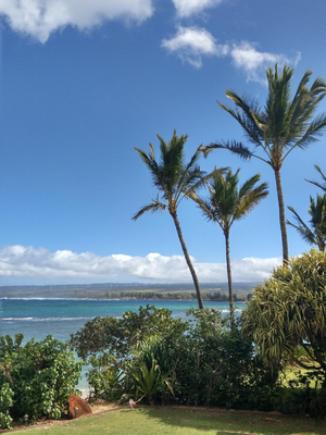 Waialua Community Beach Park