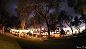 Your Aloha Wedding