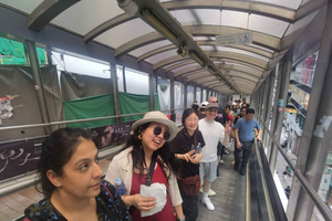 Colonial Culture Walk with Tram and Star Ferry