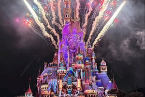 Disneyland Entry Ticket (Early Access) & Transfer