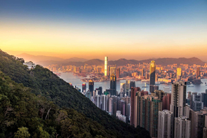 Flexible Hong Kong Private Tour with Driver