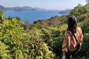 Hong Kong | Hiking and Hidden Gems Tour with Private Driver
