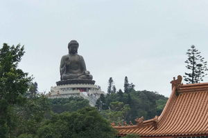 Hong Kong : visite de Lantau et du Bouddha de Ngong Ping 360 avec transferts