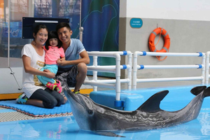 Hong Kong: Ocean Park Meet the Dolphin Unique Experience