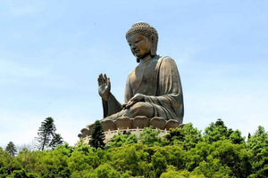 Private VIP Lantau Tour with Top Guide and Hotel Transfer