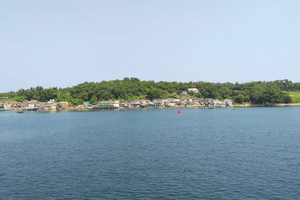 Depuis Shenzhen : excursion privée d'une journée à l'île Tap Mun de Hong Kong