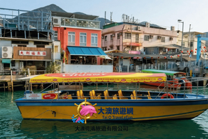 Tai O VIP Guided Boat Charter Dolphin Tour & Coffee+Map+Card