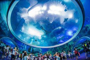 Zhuhai & Shenzhen: 4-Day Self-Guided Tour with Tickets