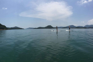 Autumn Adventures: Hiking and Nature Trails in Hong Kong