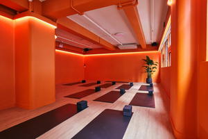 IKIGAI Yoga & Wellness (Central)