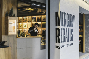 Mercury Recalls