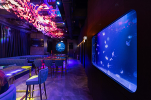 Moon Ocean (Causeway Bay)