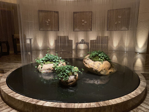 The Peninsula Spa