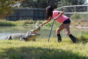 From Houston: Crocodile Encounter Entry Ticket