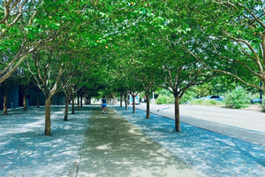 Houston Jewish History Landmarks Private Guided Walking Tour