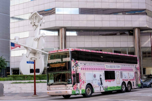 Houston: Tea Around Town® Wycieczka autobusowa z podwieczorkiem