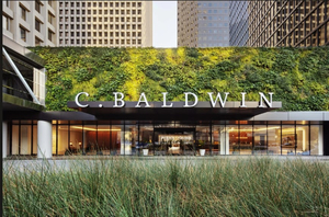 C. Baldwin, Curio Collection by Hilton