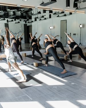 Luxe Performance & Recovery