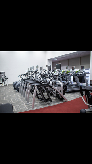River Oaks Physical Therapy & Wellness