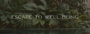 Tulum Wellness Spa