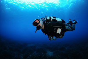 3.5-Day PADI Open Water Dive Course