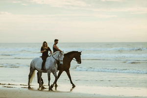 Beach or Nature Horse Ride