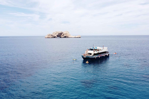 viaje en barco a las islas Margaritas y entrada al Acuario