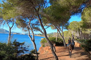 Coast or Nature Horseback Ride with Guide