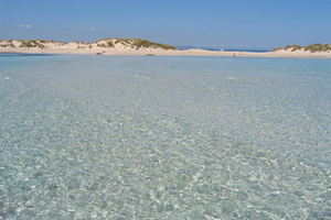 ESPALMADOR SNORKELING TOUR